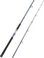 2-Piece Saltwater Spinning Fishing Rod Offshore Graphite Portable Fishing Rod (7 Feet)