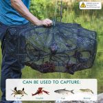 Fishing Bait Trap Crab Net Fishing Trap for Minnow/Crab/Shrimp/Crawdad with Rope, 6/8/10 Holes Large Space Fishing Net - Image 2