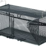 Torpedo Crawfish Trap | Heavy-Duty Steel Mesh